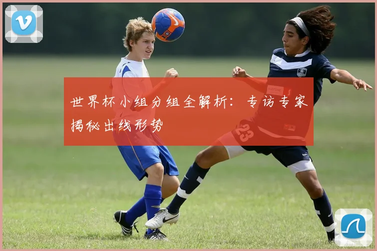 世界杯小组分组全解析:专访专家揭秘出线形势