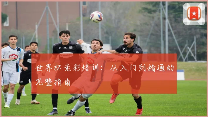 世界杯竞彩培训:从入门到精通的完整指南