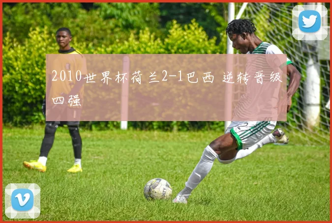 2010世界杯荷兰2-1巴西 逆转晋级四强