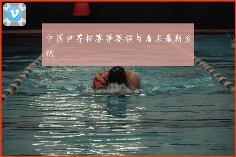中国世界杯赛事赛程与看点最新分析