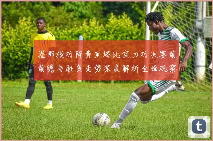 渥那模对阵费里塔比实力对决赛前前瞻与胜负走势深度解析全面观察