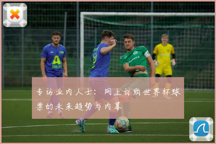 专访业内人士:网上订购世界杯球票的未来趋势与内幕