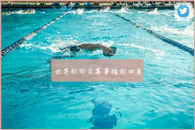 世界杯昨日赛事精彩回看