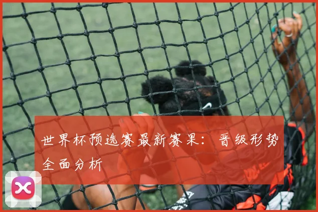 世界杯预选赛最新赛果：晋级形势全面分析