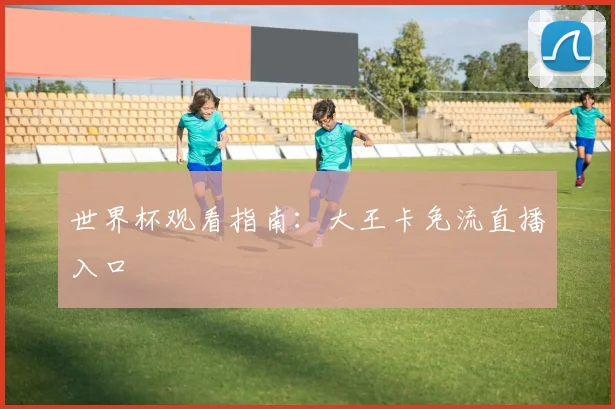 世界杯观看指南：大王卡免流直播入口