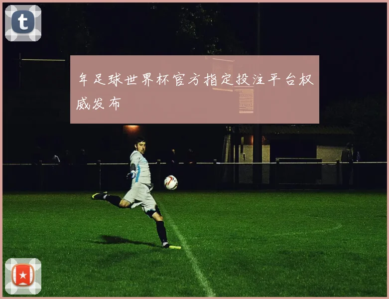 年足球世界杯官方指定投注平台权威发布