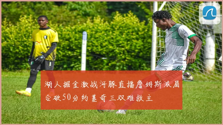 湖人掘金激战河豚直播詹姆斯浓眉合砍50分约基奇三双难救主