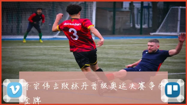 李宗伟击败林丹晋级奥运决赛争夺金牌