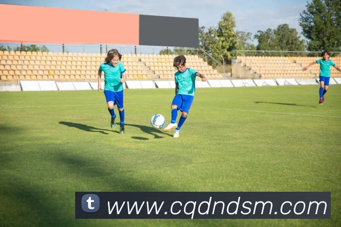 九游会·j9官网平台生态图