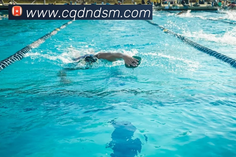 九游会·j9官网APP 封面图